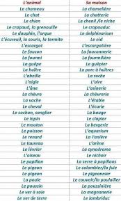 Les 100 Mots Les Plus Utilises En Francais A L Ecole Apprendreanglais Apprendreanglaisenfant Anglaisfacile Cours In 2020 Learn French French Flashcards French Phrases