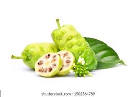 Image result for Morinda