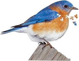 Every item on this page was chosen by a town & country editor. Amazon Com Collections Etc I Am Bluebird 300 Piece Bird Shaped Jigsaw Puzzle Toys Games