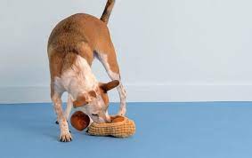 Best dog puzzles for australian shepherds. What Are The Best Toys For Australian Shepherds Bark
