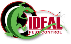 Pest controllers working under execute pest control are regularly sent for workshops, seminars. Savannah Pest Termite Control Services Ideal Pest