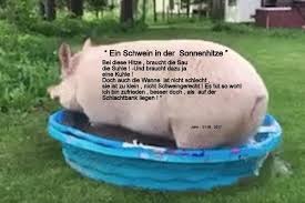 Scholl ist bekannt für lockere sprüche, Schweinehitze Margots Blog