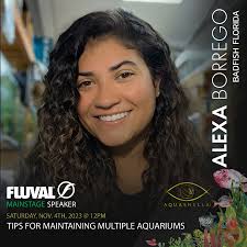 Alexa Borrego's Instagram, Twitter & Facebook