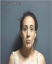 Greene County Jail Log