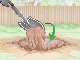 Using epsom salts is a much longer process, as you will have to wait for the epsom salts to dry out the roots and starve the tree of moisture and nutrition. How To Burn Tree Stumps 13 Steps With Pictures Wikihow