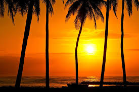 Cheap Vacation Packages Save Up To 525 Book Ski Las Vegas Walt Disney World Ny Carib Cheap Vacation Packages Last Minute Vacation Deals Beach Paradise