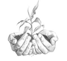 I've tested and figured out how to easily draw the hands, so now i can just leave each step here, so you can be. Hands By Minuiko On Deviantart How To Draw Hands Pencil Art Drawings Art Sketchbook