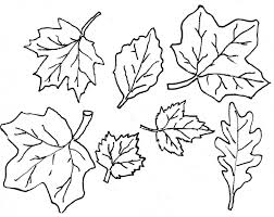 When roaming around the lakes and forests of northern minnesota in my youth, one of my fondest memories was of fall leaves coloring pages fall coloring sheets leaf coloring page coloring pages for kids free coloring kids coloring doodle coloring. 20 Free Printable Fall Leaves Coloring Pages Everfreecoloring Com