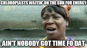 Rough ER (@weareRoughER)