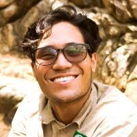 50+ "Brian Sequeira" profiles