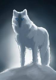 Catcher signed print wolf moon. White Wolf Anime By Animegraywolf On Deviantart