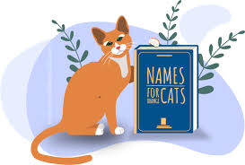 Japan is known for anime, the distinctive style of cartoon that fans around the world flock to. 165 Orange Cat Names Male Female Unisex Names All About Cats