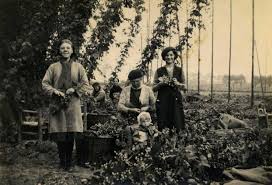 Verloren Bieren - Hopfeesten (1): België