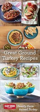 If you are using this as a diabetic recipe (and this recipe is great for those with. Pin On Best Ground Turkey Recipes
