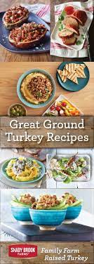 Turkey isn't just for thanksgiving and submarine sandwiches. Ground Turkey Recipes Shady Brook Farms Turkey Lunch Recipes Healthy Healthy Recipes Recipes