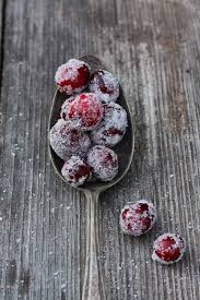 Lebkuchen Mousse Mit Cranberries Festliche Menues Weihnachtsessen Weihnachtsbackerei
