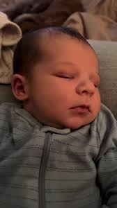 Taylor Burris Illinois