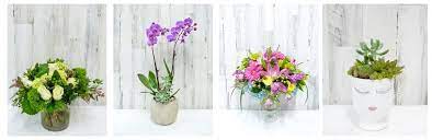 Maybe you would like to learn more about one of these? The 10 Best Options For Flower Delivery In Silver Spring Md 2021