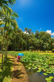 Le Jardin De Pamplemousse Ile Maurice Les Plus Beaux Jardins Beaux Jardins Jardin Botanique
