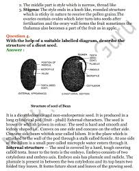 Selina Concise Biology Class 6 Icse Solutions Chapter 2 The Flower Ncert Books Icsesolutions Concisebiologyclass6 Biology Class Biology Teaching Biology
