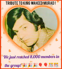 Thanks to everyone for the videos and pictures (great stuff)