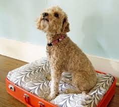 These super cute handmade dog beds will be beloved by pets of all shapes and sizes. 16 Diy Dog Bed Designs Custom Build A Bed For Your Pooch