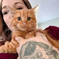 Taylor Norcross (@TaylorLilaNorcross) • Facebook