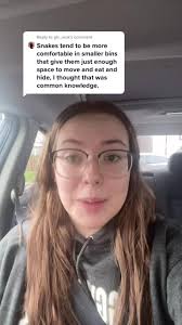 Snake Enclosures: A Guide to Ball Pythons