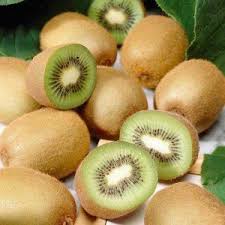 Kiwi Fruit Yang Tao Actinidia Deliciosa 35 Seeds Kiwi Vine Kiwi Fruit Plants