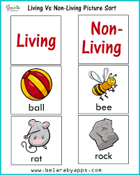 Published by mary snow modified over 5 years ago. Living Vs Nonliving Activities For Kindergarten Belarabyapps