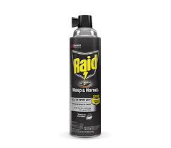 Raid Wasp Hornet Killer 33