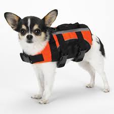 Ruffwear K9 Float Coat Dog Life Jacket Best Dog Life Jacket