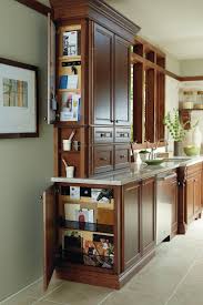 Kitchen Cabinets And Bathroom Cabinets By Thomasville Cabinetry Kitchen Cabinet Remodel Traditional Kitchen Cabinets Home Kitchens
