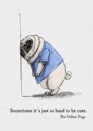 Too Hard Cute Pugs Pugs Funny Cute Pug Puppies