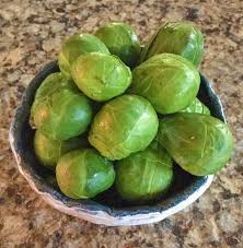 Planting, growing, and harvesting brussels sprouts. Plant Science At The Dinner Table Brussel Sprouts 4 H Plants Soils Gardening