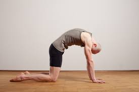 The wear condition can also stricted to the elastomer flexibles, which must be replaced at the. Anjaneyasana Learning Devotion From Hanuman Ashtangayoga Info