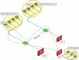 Multiple Entry Point Vpns