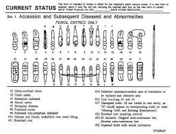 charting symbols box 1 regarding dental charting