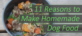 They are very healthy and have never had any problems. 11 Reasons To Make Homemade Dog Food Lumasoothe
