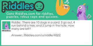 Funny Riddles Riddles Com