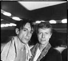 Pop was all but a pariah in the music business after the disastrous crash and burn of iggy & the stooges, his mental and physical health was shaky, and there was no significant audience awaiting his next move. The Quieter Side Of Iggy Pop Interview Magazine