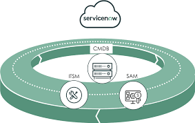 This dramatically increases the chances of completing a project successfully. Why Choose Servicenow Sam Pro Softline Solutions