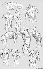 Doing torso anatomy now i drew a torso feedback please learnart. 21 Super Ideas Drawing Body Poses Men Male Torso Anatomy Sketches Anatomy Art Anatomy Drawing