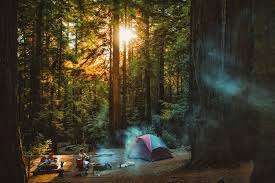 Maybe you would like to learn more about one of these? The Best Campsite At Ventana Campground Photos Tips