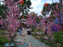 Selfie taman sakura / wisata ala jepang istana sakura blitar jawa timur tiket masuk jejak wisata : Lokasi Dan Harga Tiket Masuk Istana Sakura Blitar Serunya Menikmati Suasana Serasa Di Jepang Daka Tour