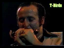 The Fabulous Thunderbirds