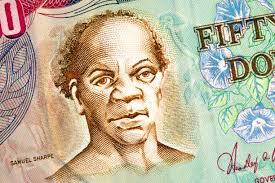 370+ Sharpe Stock Photos, Pictures & Royalty-Free Images