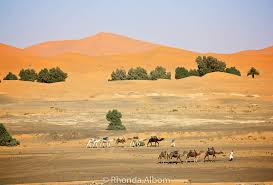 Ncol specifies colors using a color letter with a number to specify the distance (in percent) from the color. Colors Of The Sahara Desert A Travel Photography Expose Albom Adventures