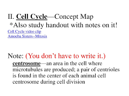 Meiosis cell division in plant and animal. Cell Cycle Mitosis Ppt Download