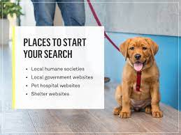There is quite a range in prices depending on what procedure is recommended by your veterinarian for your dog's knee repair and where you live. How Much Does It Cost To Spay Or Neuter A Dog Gallant